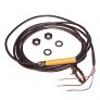 IE-3001-ANOG